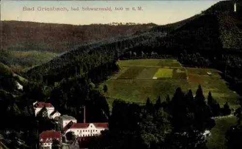 Ak Bad Griesbach im Schwarzwald, Panorama