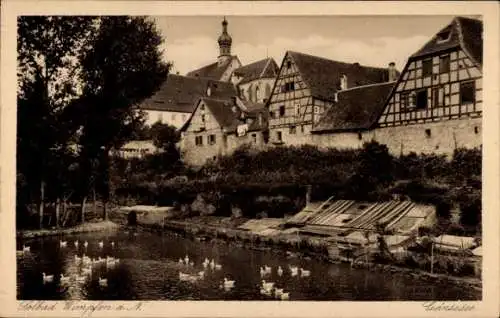 Ak Bad Wimpfen am Neckar, Teilansicht, Enten