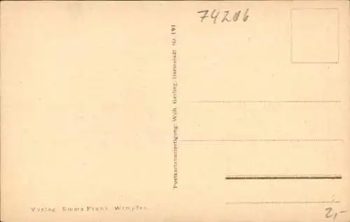 Ak Bad Wimpfen am Neckar, Teilansicht, Enten