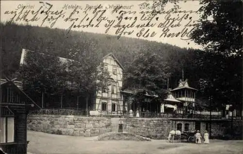 Ak Goslar am Harz, Hotel und Pension Waldhaus im Okertal