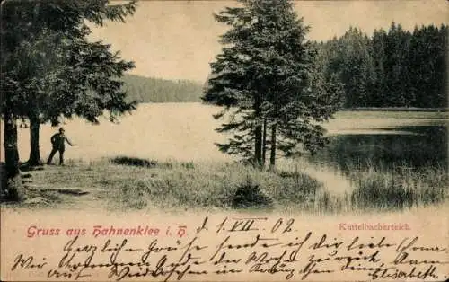 Ak Hahnenklee Bockswiese Goslar im Harz, Kuttelbacherteich