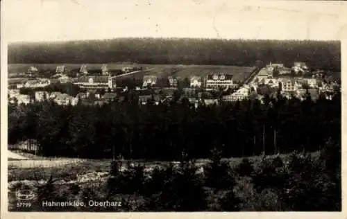 Ak Hahnenklee Bockswiese Goslar im Harz, Gesamtansicht