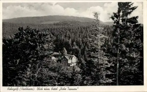 Ak Hohegeiß Braunlage im Oberharz, Hotel Dicke Tannen