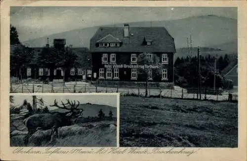 Ak Torfhaus Altenau Schulenberg Clausthal Zellerfeld im Oberharz, Hotel Wendt Brockenkrug, Hirsch