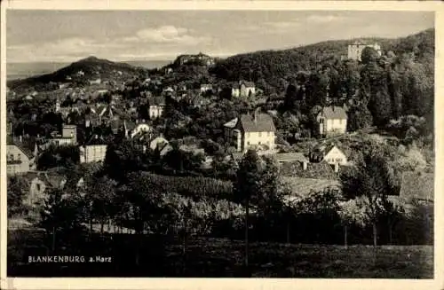 Ak Blankenburg am Harz, Gesamtansicht