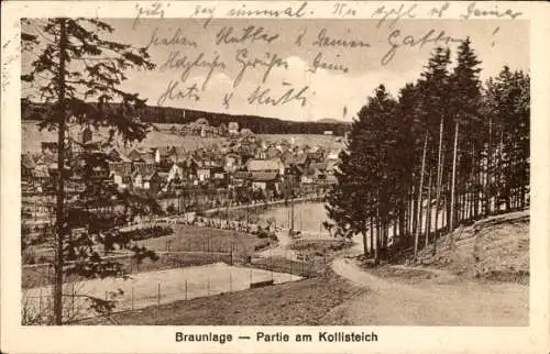 Ak Braunlage im Oberharz, Gesamtansicht, Kollisteich