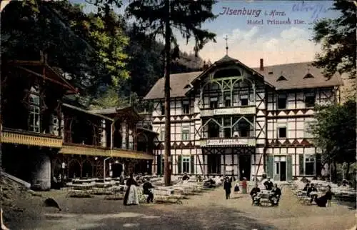 Ak Ilsenburg am Nordharz, Hotel Prinzess Ilse, Gartenterrasse