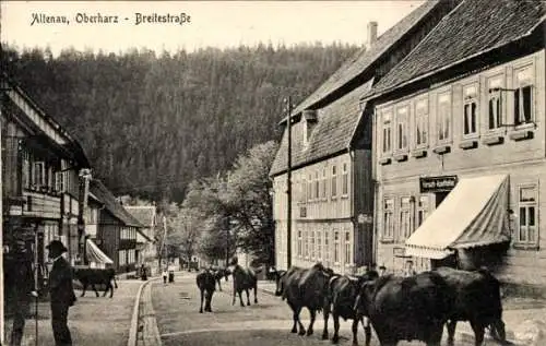 Ak Altenau Clausthal Zellerfeld im Oberharz, Breitestraße, Kühe