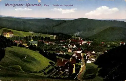 Ak Hasserode Wernigerode im Harz, Gesamtansicht