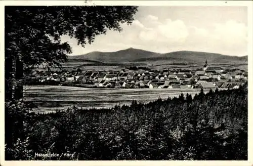 Ak Hasselfelde Oberharz am Brocken, Gesamtansicht