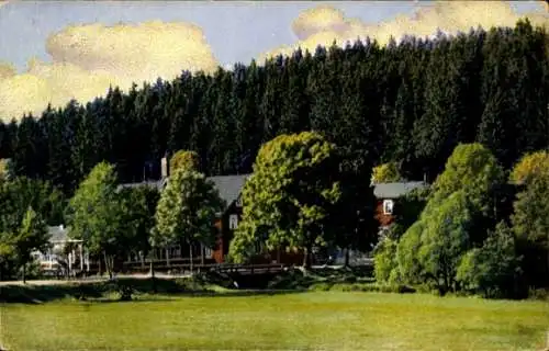 Ak Braunlage im Oberharz, Die Waldmühle