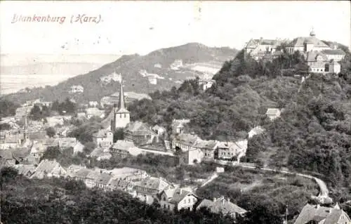 Ak Blankenburg am Harz, Gesamtansicht