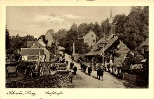 Ak Schierke Wernigerode im Harz, Dorfstraße, Viehtrieb