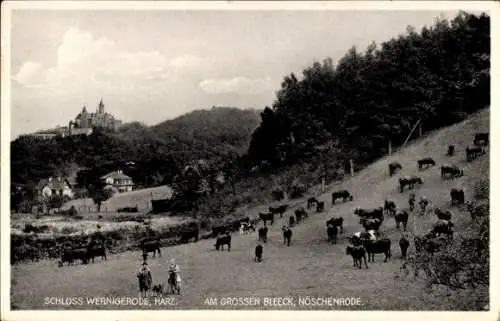 Ak Wernigerode am Harz, Am großen Bleeck, Nöschenrode, Schloss, Kühe