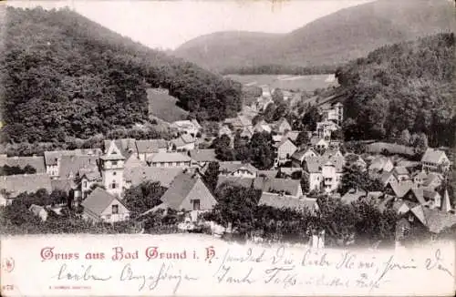 Ak Bad Grund im Harz, Gesamtansicht