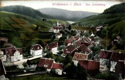 Ak Wildemann Clausthal Zellerfeld im Oberharz, Blick vom Schöneberg