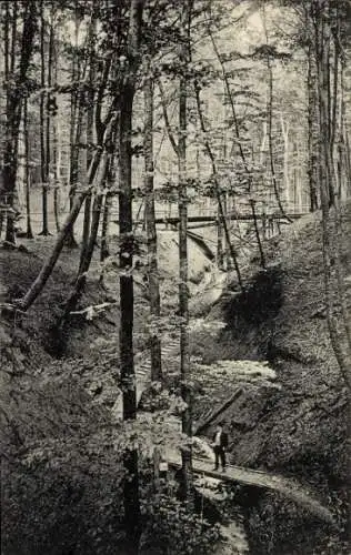 Ak Eldagsen Springe am Deister Niedersachsen, Drachenschlucht