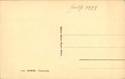 Ak Biskra Algerien, Falkner, Falknerei, Araber, Maghreb