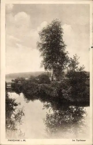 Ak Parchim in Mecklenburg, Im Torfmoor