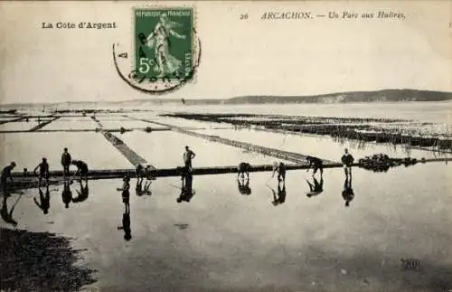 Ak Arcachon Gironde, Un Parc aux Huitres