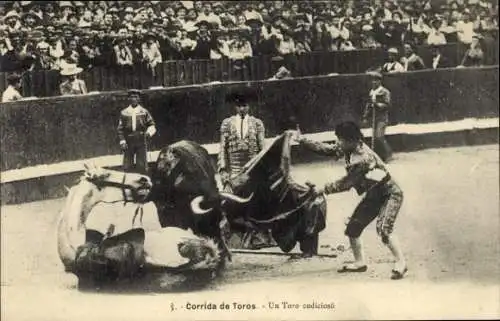 Ak Corrida de toros, Un Toro codicioso