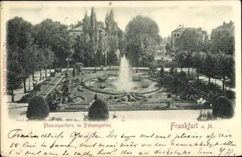 Ak Frankfurt am Main, Blumenparterre, Palmengarten, Wasserfontäne, Brunnen