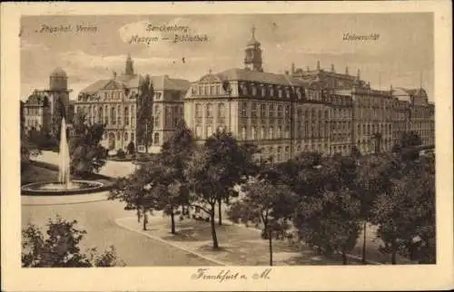 Ak Frankfurt am Main, Senckenberg, Universität, Museum, Bibliothek, Physikalischer Verein