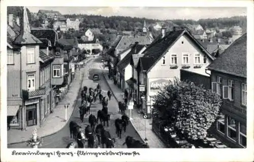 Ak Braunlage im Oberharz, Viehtrieb auf der Elbigeröder Straße