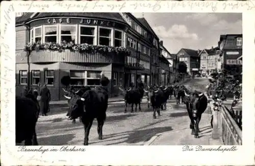 Ak Braunlage im Oberharz, Die Damenkapelle, Café Junker, Viehtrieb durch den Ort