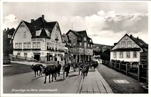 Ak Braunlage im Oberharz, Teilansicht, Cafe Dietze, Viehtrieb