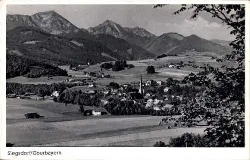 Ak Siegsdorf in Oberbayern, Panorama