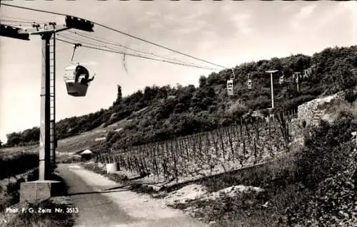 Ak Rüdesheim am Rhein, Seilbahn, Weinberge