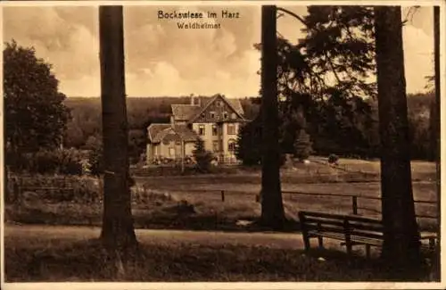 Ak Hahnenklee Bockswiese Goslar im Harz, Waldheimat