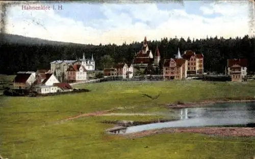 Ak Hahnenklee Bockswiese Goslar im Harz, Teilansicht