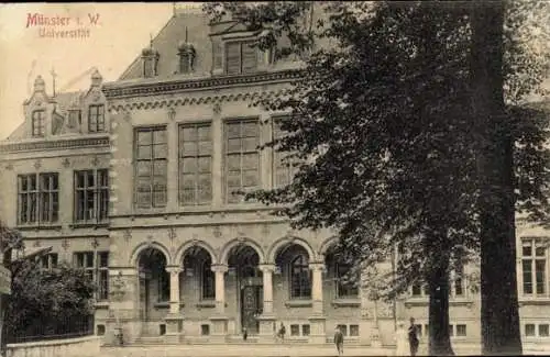 Ak Münster in Westfalen, Universität