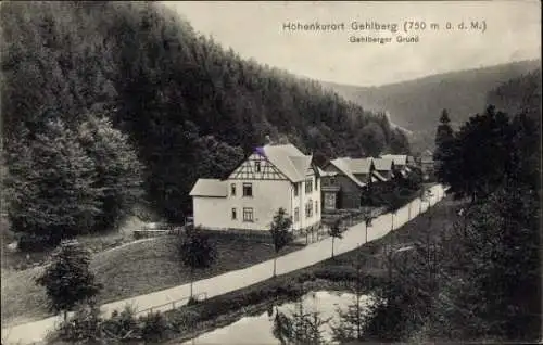 Ak Gehlberg in Thüringen, Gehlberger Grund, Waldpartie