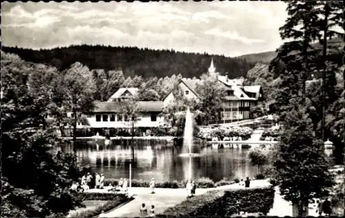 Ak Braunlage im Oberharz, Gondelteich, Kurpark, Fontäne