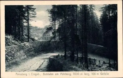 Ak Annaberg Buchholz Erzgebirge, Bobbahn am Pöllberg