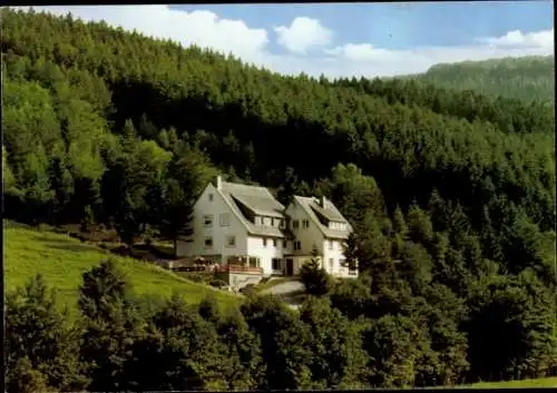 Ak Willingen im Upland Waldeck Hessen, Gesamtansicht