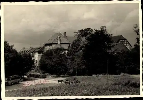 Ak Bad Pyrmont in Niedersachsen, Gebäude, Bus, Wiese, Pferde