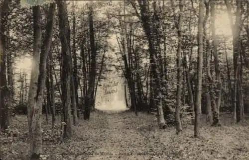 Ak Rosny sur Seine Yvelines, Waldweg