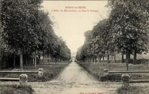 Ak Rosny sur Seine Yvelines, L'Allee des Marronniers, au fond le Chateau