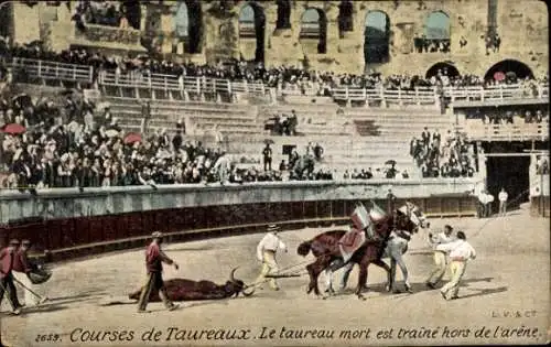 Ak Courses de Taureaux, Le taureau mort est traine hors de l'arene