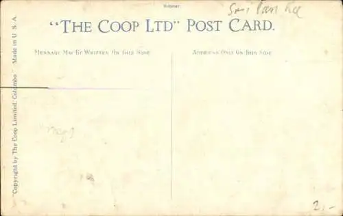 Ak Colombo, singhalesischer Rassebulle und Karren