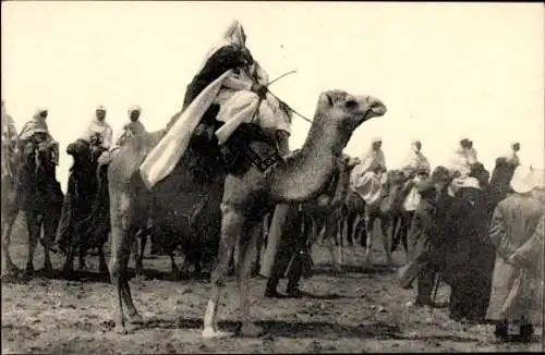 Ak Maghreb, Arabischer Krieger zu Pferde