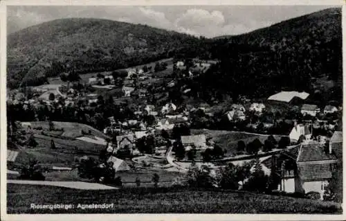 Ak Jagniątków Agnetendorf Hirschberg Riesengebirge Schlesien, Totalansicht von Ort