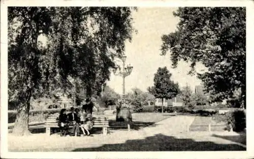 Ak Soestdijk Utrecht Niederlande, Rosarium