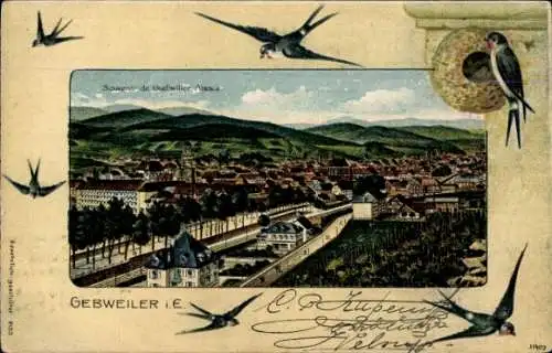 Passepartout Litho Guebwiller Gebweiler Elsass Haut Rhin, Gesamtansicht, Schwalben