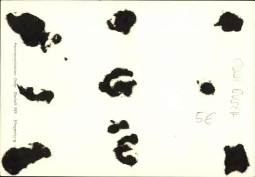 Ak Sänger Eddi Busch, Portrait, Gitarre, Autogramm