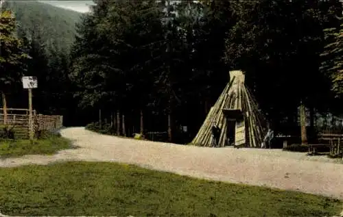 Ak Seesen in Niedersachsen, Schildauköte, Blick auf die Köhlerhütte